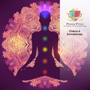 Chakras & Aromatherapy