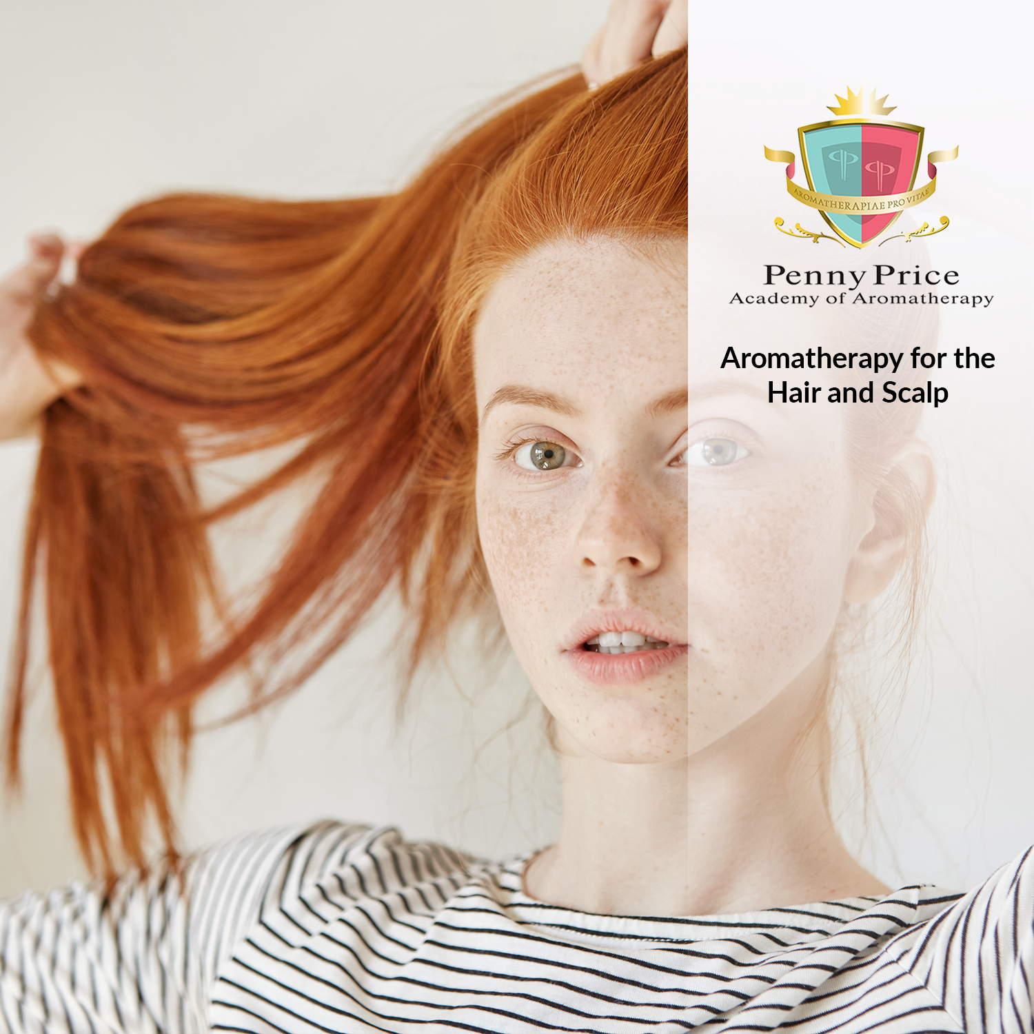 Aromatherapy for the Hair and Scalp (Distance Learning) - Penny Price  Academy of Aromatherapy