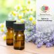Diploma in Clinical Aromatherapy