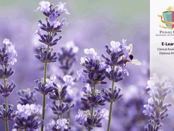 Diploma in Clinical Aromatherapy Module 1 Theory Only: E-Learning