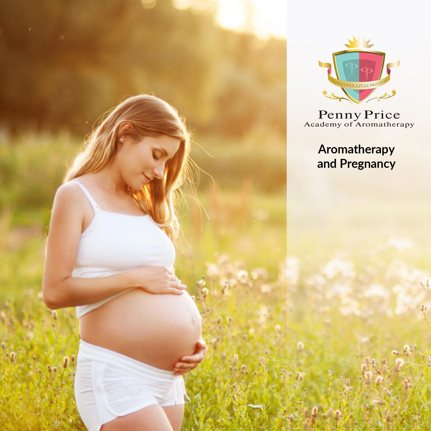 aromatherapy_course_aromatherapy_for_pregnancy