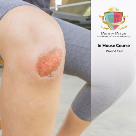Wound Care Course