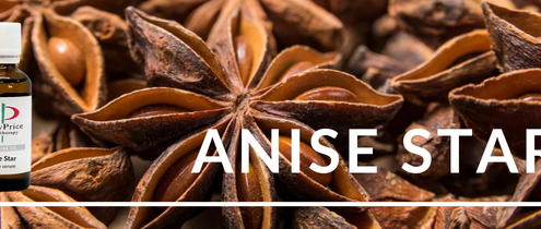Anise Star Essential Oil Benefits
