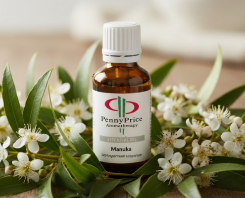Manuka essential oil benefits for skin and aromatherapy
